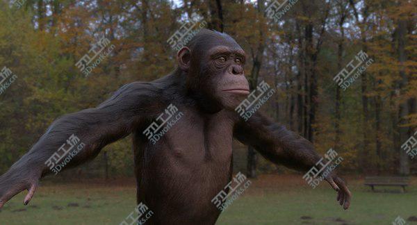 images/goods_img/20210312/Chimpanzee 3D/4.jpg
